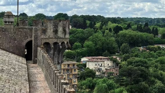 一日串聯羅馬後花園：布拉恰諾包車一日遊