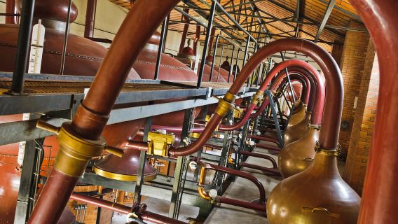 Jarnac: Braastad cognac discovery tour