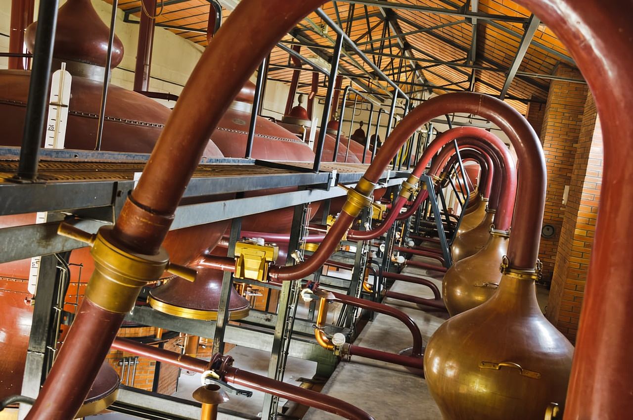 Jarnac: Braastad cognac discovery tour