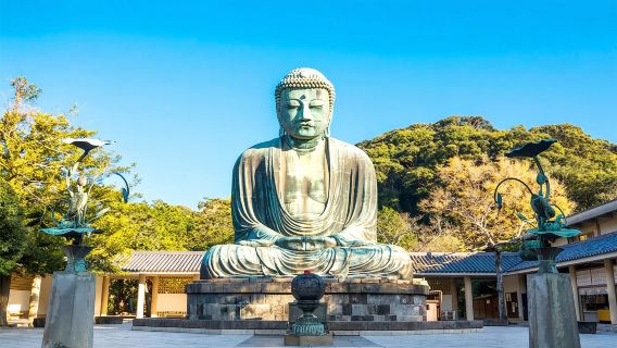 東京+鎌倉大佛+鎌倉小町通+鐮倉高校前站+長谷寺包車一日遊