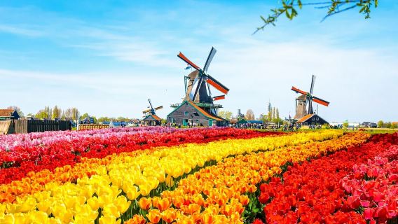 1-day tour to Giethoorn, Afsluitdijk Dam, and Zaanse Schans from Amsterdam, Netherlands