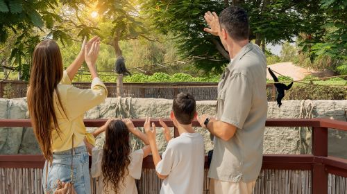 Dubai Safari Park Day Tours 1