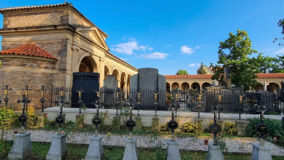 Прага: аудиогид по Вышеграду с необязательным входным билетом в базилику.