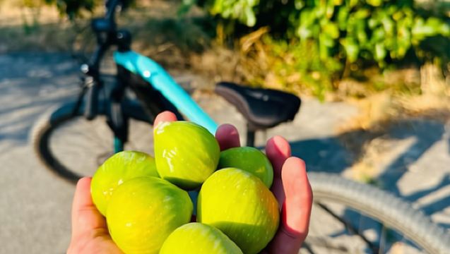 アドリア海沿岸 電動自転車フリープラン | レッチェ、グロッタ デッラ ポエシア(詩の洞窟)、オートラント