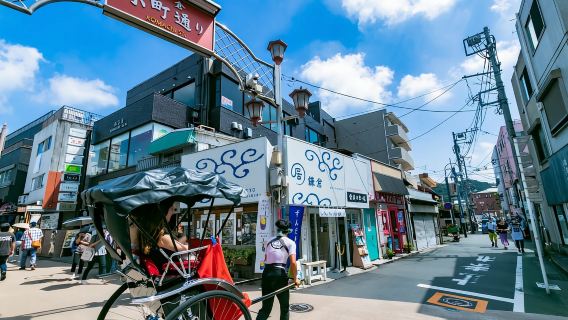 Tokyo: Kamakura & Enoshima Day Trip including Temple Tickets