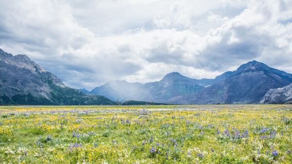 День в парке Уотертон, отеле Prince of Wales и у водопада Кэмерон.