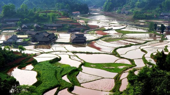 ZhangjiajieTours