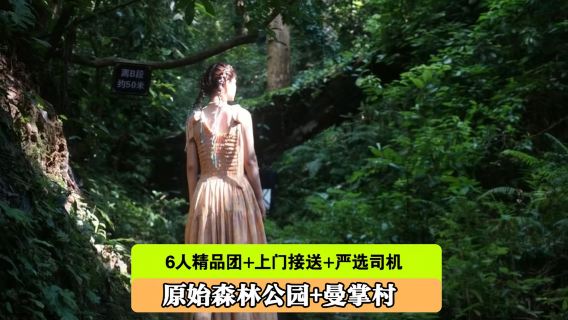 原始森林公園+曼掌村一日遊【6人內團/孔雀放飛/非遺文化】