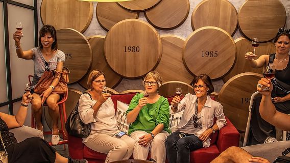 Douro Valley Historical Tour with Lunch Winery Visit with Tastings and Panoramic Cruise