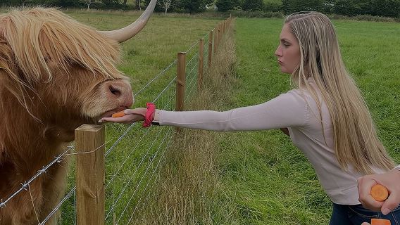 Loch Ness and Outlander Sites Tour from Inverness