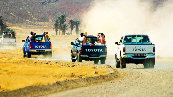Isola di Boa Vista: tour di 4 ore a Rabil, nel deserto di Viana e al naufragio
