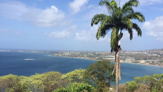 ทัวร์เต็มเกาะ (รวมอาหารกลางวันและดำน้ำตื้น)