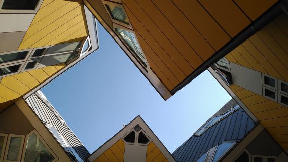 Tour a piedi dei punti salienti dell'architettura di Rotterdam