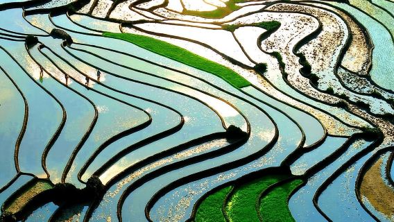 Private Full Day Tour in Sapa by Car