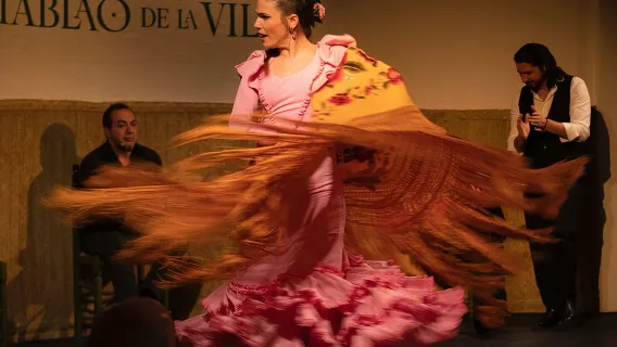Flamenco Show at the Tablao de la Villa Madrid