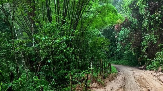 MINCA TOUR - Explore waterfalls and discover the origin of coffee and cocoa