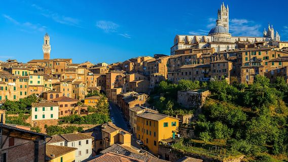 Guided Tour of Siena's Historical Centre and Cathedral