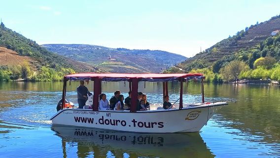 Perjalanan bot selama 1 jam di sepanjang Sungai Douro di Pinhão