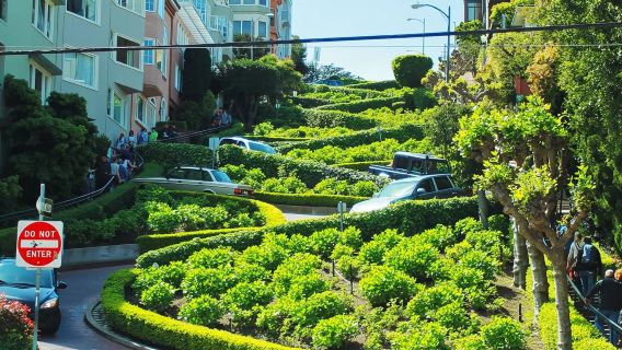 美國舊金山漁人碼頭+舊市政廳-景點選擇【普通話專車-舒適純淨】