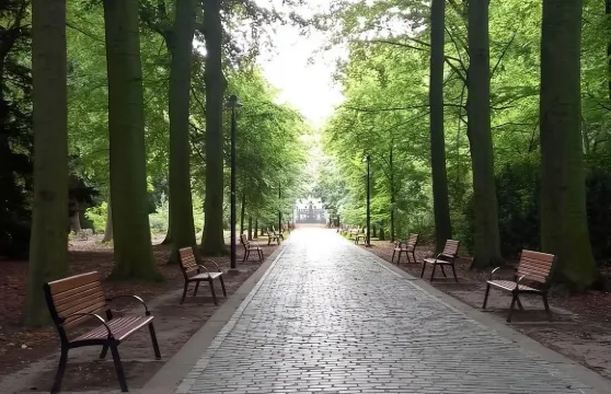 包車前往Zandbos森林，徒步沙丘自然行！