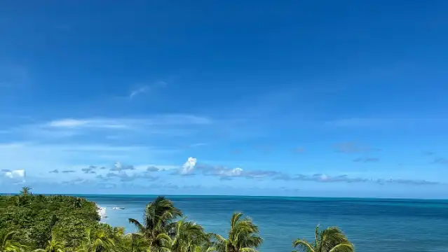 Cancun Airport Shared Shuttle to Holbox Chiquila Port