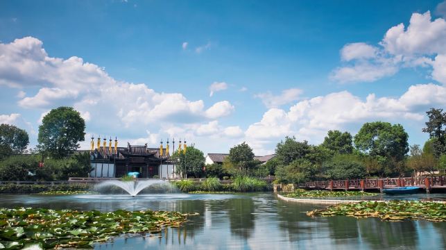 杭州宋城+宋城千古情演出純玩跟團1日遊  穿越千年