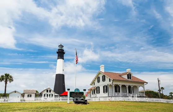 薩凡納至泰碧島海豚郵輪之旅