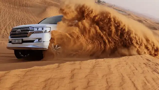 杜拜清晨沙漠探險：騎駱駝滑沙獵鷹照片