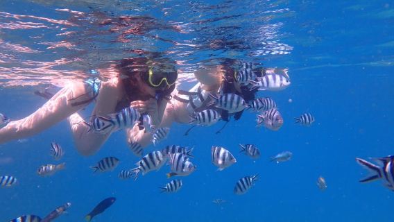 日本沖縄青の洞窟体験ダイビングシュノーケリング0.5時間【シュノーケリングアクティビティ/専用ボート利用/那覇または北谷定点送迎】