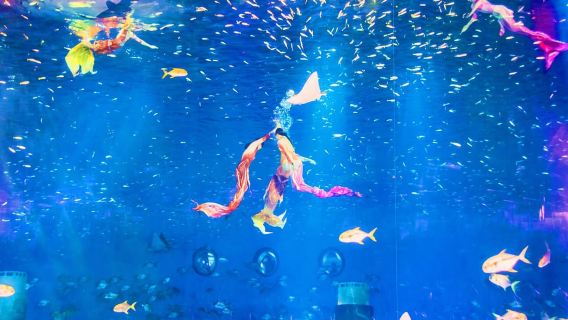 ตั๋วผู้ใหญ่เข้าชม Shanghai Haichang Ocean Park