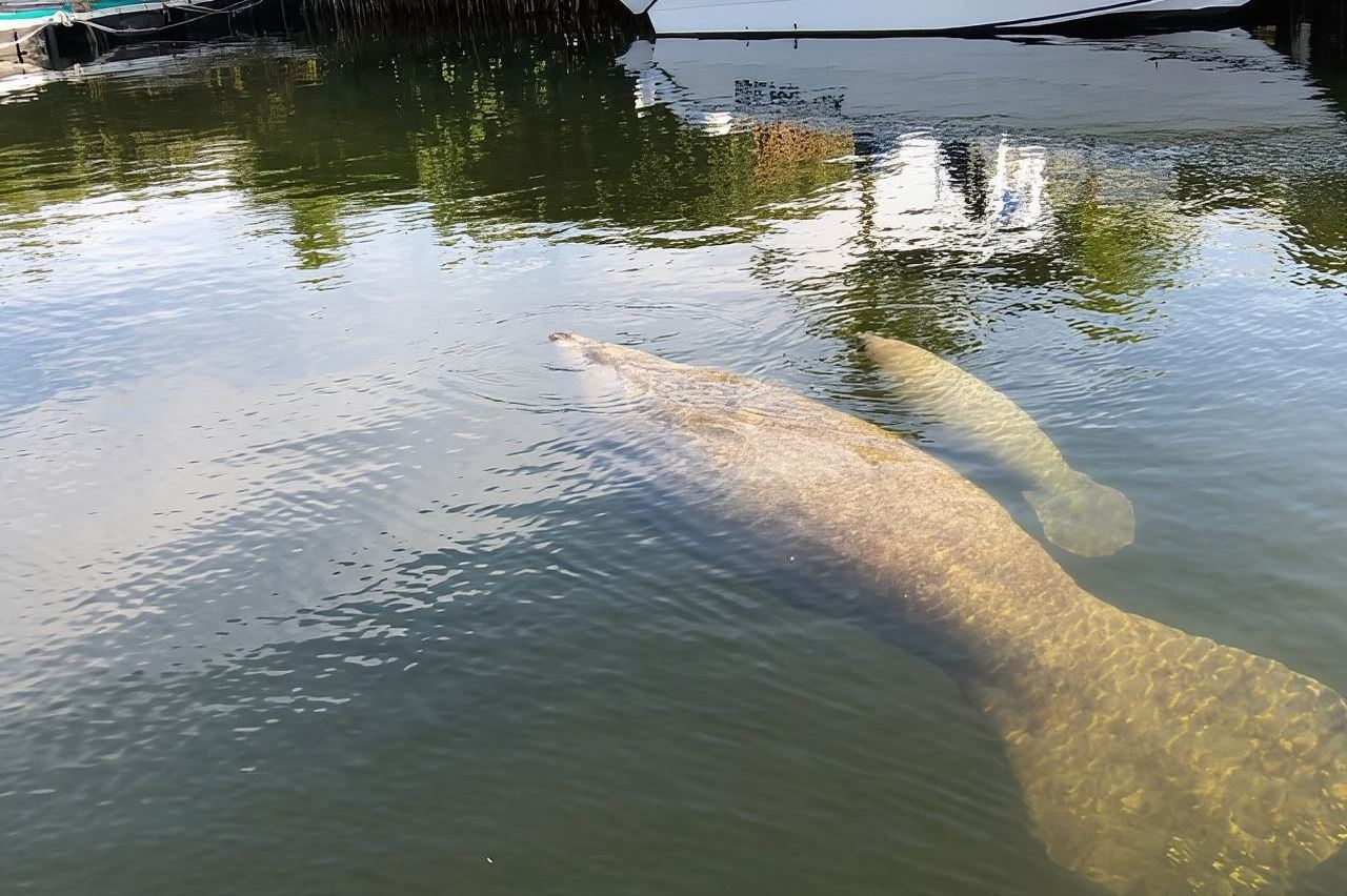 Key Largo: Bootsfahrt bei Sonnenuntergang