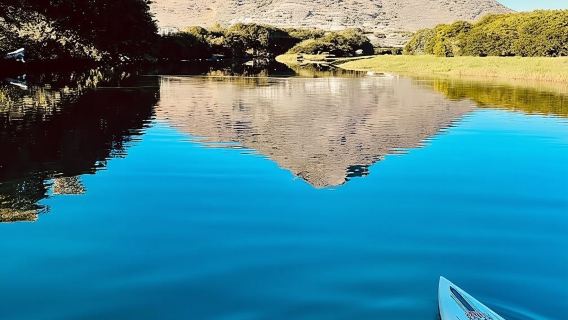 Île Maurice : Excursion en kayak pour observer les dauphins dans la baie de Tamarin