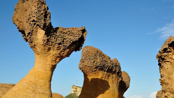 타이베이 출발: 지우펀, 예류, 스펀 등 당일치기 여행