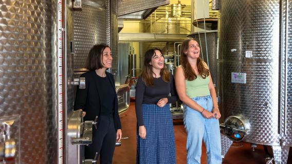 Desde Florencia: Toscana, Siena, San Gimignano y almuerzo en una bodega