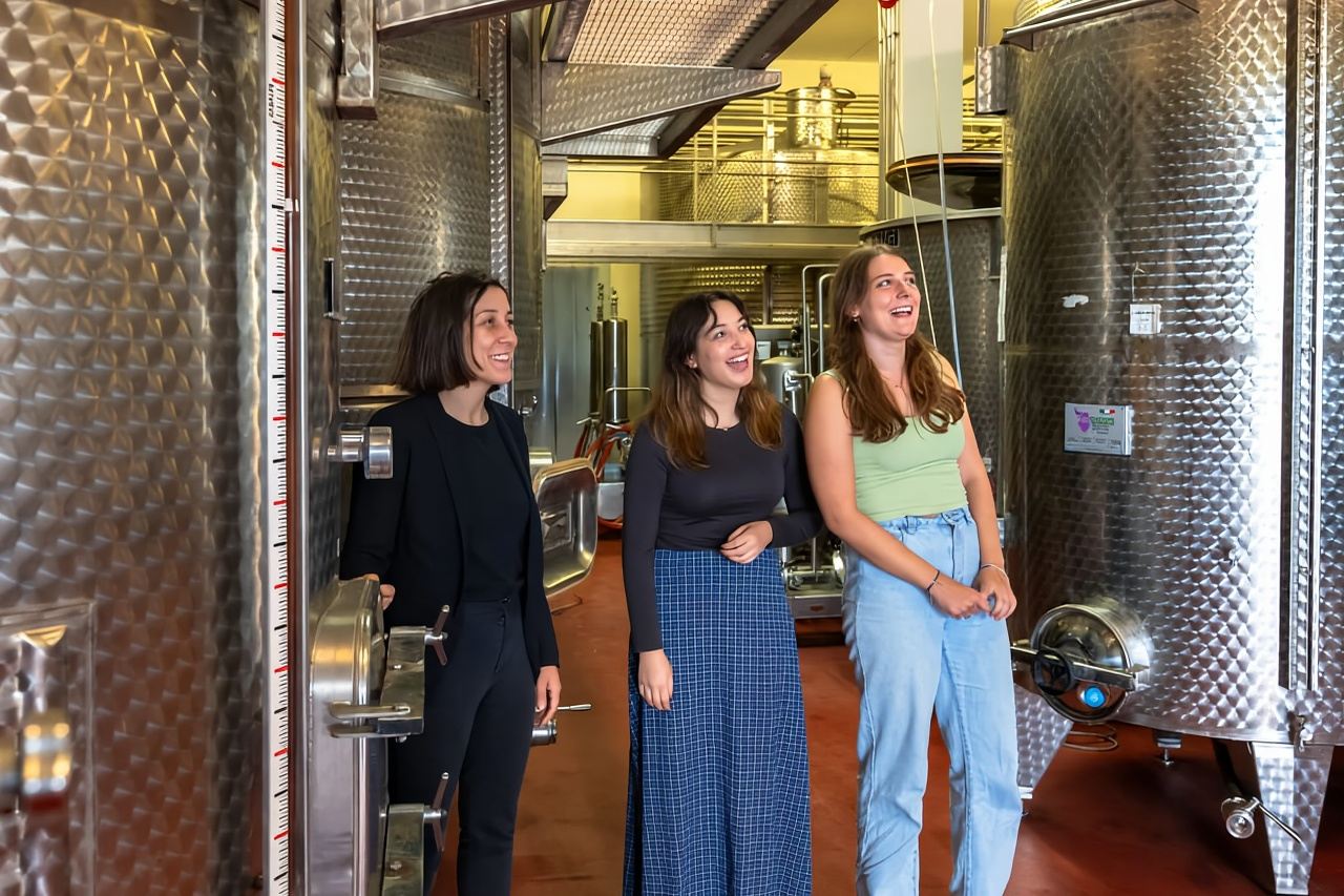 From Florence: Tuscany, Siena, San Gimignano & Winery Lunch