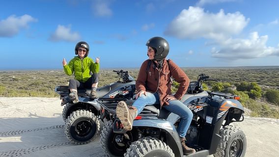 Ciudad del Cabo: Atlantis Dunes Quad Bike y Sandboarding gratuito