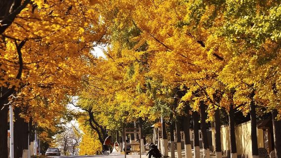 Thanh Đảo: Tour thành phố riêng tư với bia và bữa trưa ngon miệng