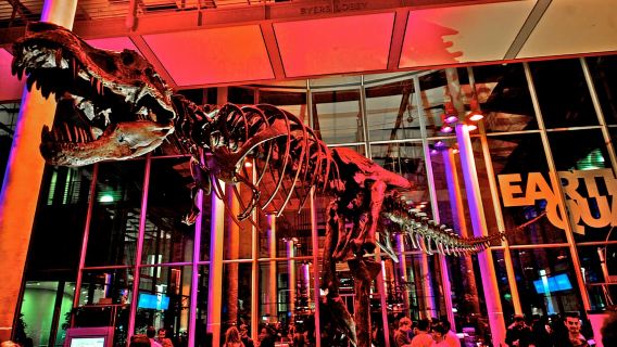 Tiket Masuk Kamis Malam di California Academy of Sciences