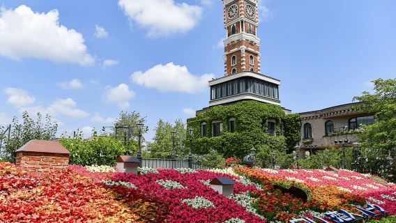 Dari Sapporo: Tur Sehari Menjelajahi Sorotan Hokkaido