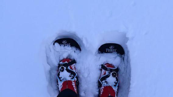 Saariselkä: tour con raquetas de nieve en el Parque Nacional Urho Kekkonen
