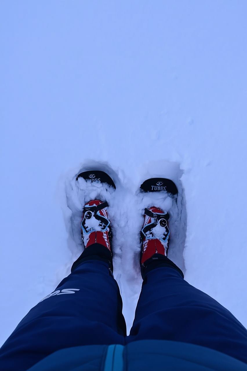 Saariselkä: tour con le ciaspole nel Parco Nazionale Urho Kekkonen