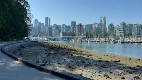 ทัวร์ชมวงจร EUC และ E-scooters ของสวนสาธารณะ Stanley Park