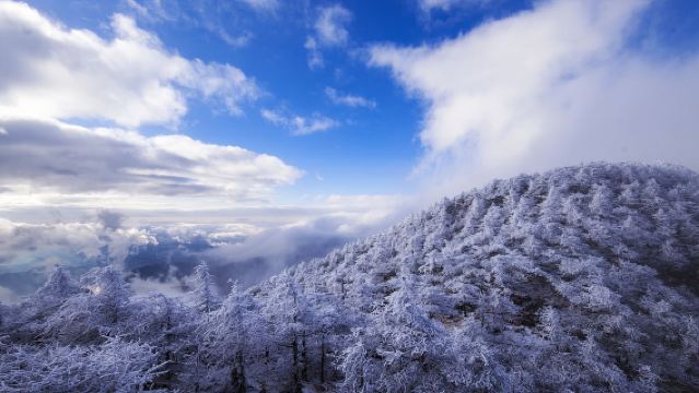 太白山國家森林公園一日遊*定期大團【下單前請務必諮詢】