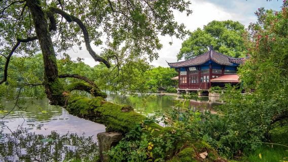 【杭州西湖徒步·CityWalk景点路线】浙江杭州徒步旅行/跟着课本游西湖/寻迹孤山（多路线可选/团建优选）