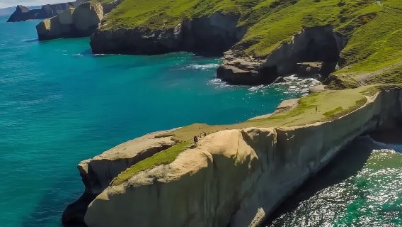 【南半球的愛丁堡】新西蘭但尼丁市內包車一日遊|可更改行程