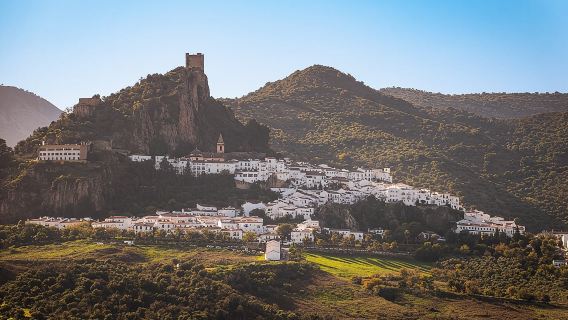 Privater geführter Tagesausflug von Sevilla zu den Weißen Dörfern und Ronda