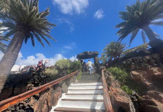Lanzarote: Jameos del Agua & North Island for Cruise Guests