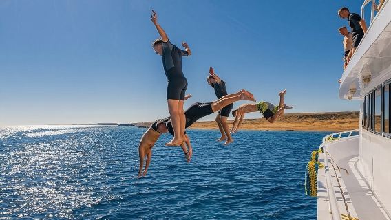 Escursione con snorkeling all'Isola Bianca e Ras Mohammed a Sharm El-Sheikh