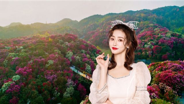 花遊特惠/百里杜鵑風景區一日-景區直達-杜鵑王國邂逅爛漫花海