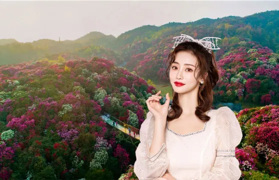花遊優惠/百里杜鵑風景區一日遊-景區直達杜鵑王國-邂逅浪漫花海